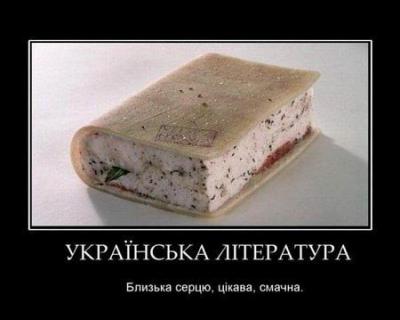 Прикрепленное изображение: salobook.jpg